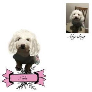 Custom Pet Portrait